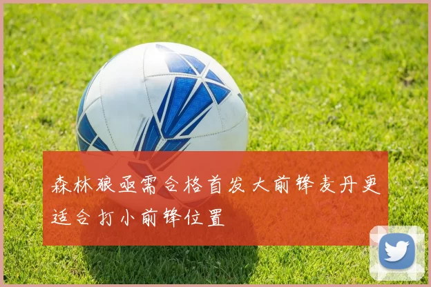 森林狼亟需合格首发大前锋麦丹更适合打小前锋位置